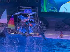 -海合安武汉极地海洋公园