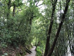 -广州市流溪河国家森林公园