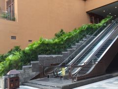 -三亚湾红树林度假世界(木棉酒店)