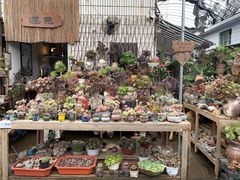 -桂林市花鸟市场