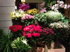 iphone_upload_pic-春暖花开(西溪店)