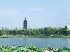 -西海子公园