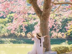 -风云岭森林公园