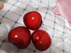 -云中小雅