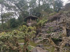 -南山植物园