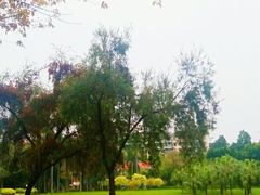 -东风公园