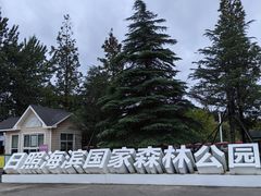 -日照海滨国家森林公园