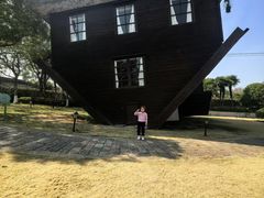 -金山农民画村-枫泾波兰倒置屋
