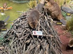 -陕西自然博物馆