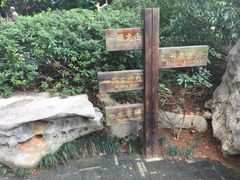 -白沙古井