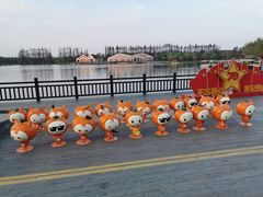 -上海长兴岛郊野公园