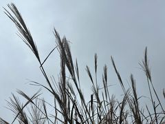 -惠东观音山