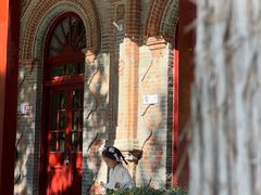 -周恩来同志少年读书旧址