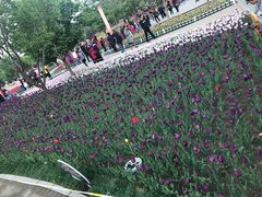 -长春公园(普阳街道)