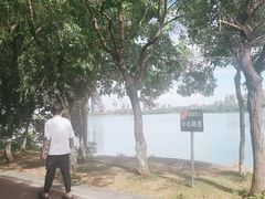 -艾溪湖湿地公园