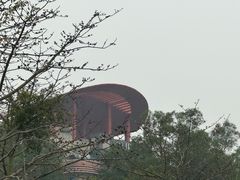 -大雁山风景区