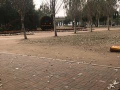 -长白岛森林公园