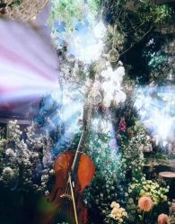 -天邑国际酒店·宴会厅