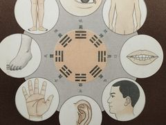 -特克斯八卦城
