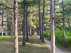 -长春市南湖公园