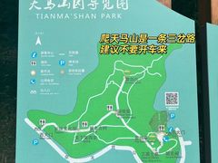 -上海佘山国家森林公园天马山园