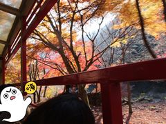 -岚山嵯峨野观光小火车