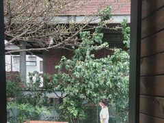 -云里小坐·小院里·团建·宴请·下午茶(三圣乡店)