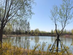 -东郊湿地公园