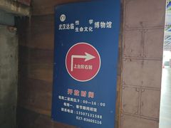 -武汉达临性学生命文化博物馆