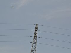 -前小桔亲子创意农场·草莓采摘·露营烧烤