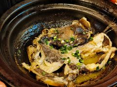 -邹开喜·炭炉鸡煲·海鲜火锅(虹口足球场店)