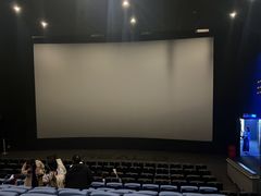 -SFC动漫主题影院(美罗城店)