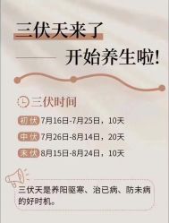 -YESIDO椰岛美容