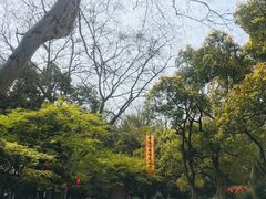 -杭州黄龙洞