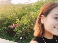 -北海金海湾红树林生态旅游区