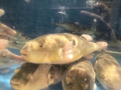 -永安鱼庄·镇江菜(东吴路店)