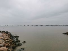 -宝安西湾红树林湿地公园