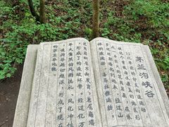 -茅兰沟国家森林公园