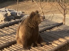 -济南野生动物世界