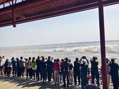 -观潮胜地公园