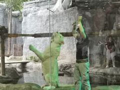 -清迈夜间动物园