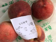 -乐乐鲜果水果超市(河北店)