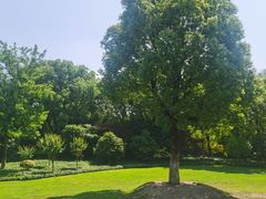 -杭州城北体育公园