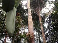 -石家庄市植物园