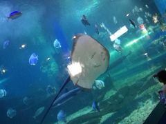 -石林冰雪海洋世界