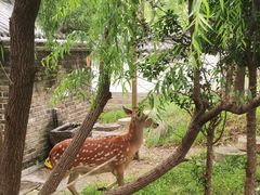 -观唐（国际）度假村温泉