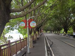 -广东花都湖国家湿地公园