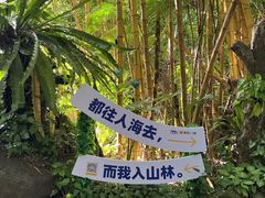 -呀诺达热带雨林