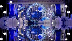 -IDOI婚礼策划·IDOIWEDDING