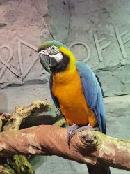 -Zoolung Zoolung动物主题公园(海信广场店)